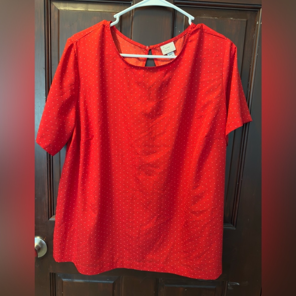 a new day Red Dotted Blouse